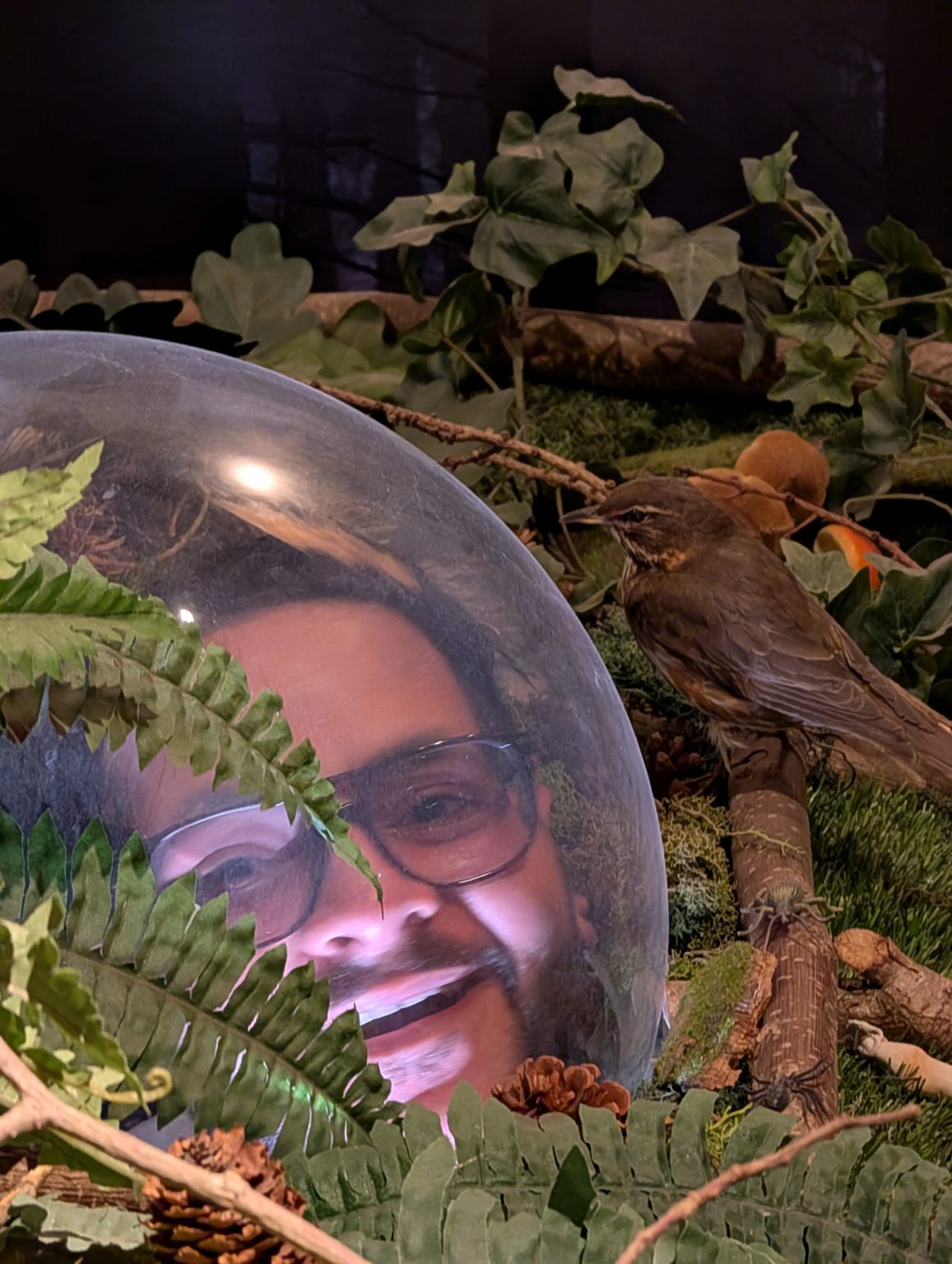 PXL_20250328_093520475