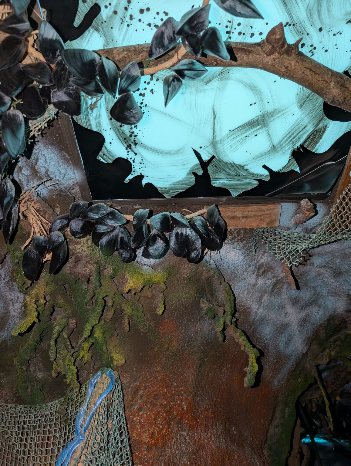PXL_20250328_103733091